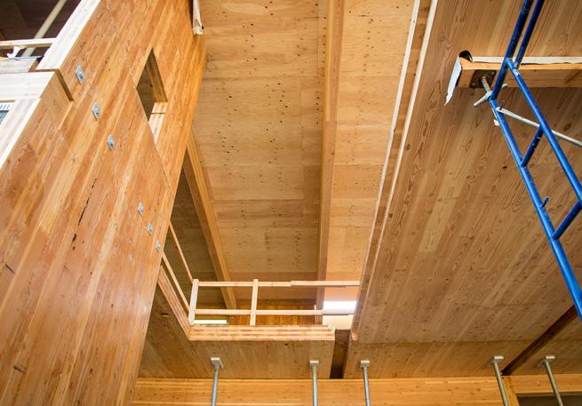 Cross-laminated timber panels | Science