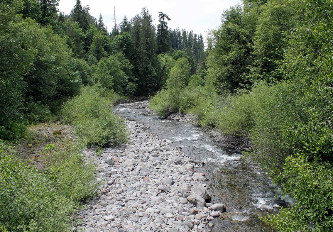 Lookout Creek