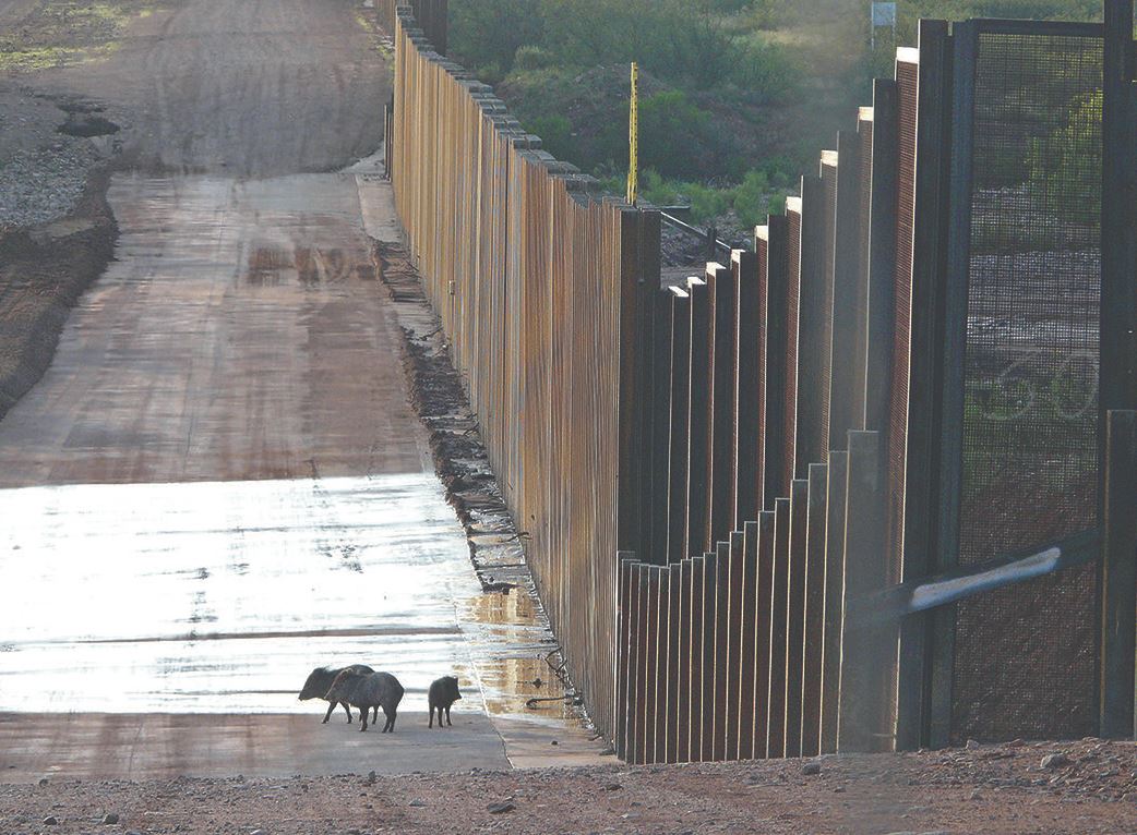 Border Wall