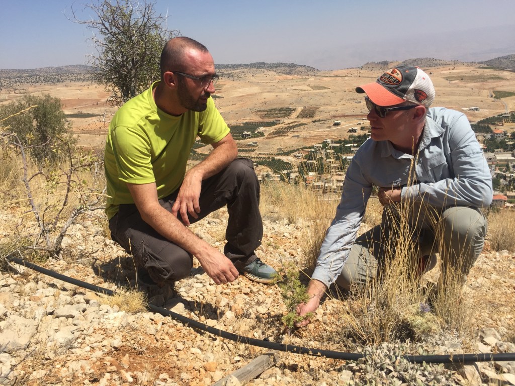 Lebanon Reforestation Initiative